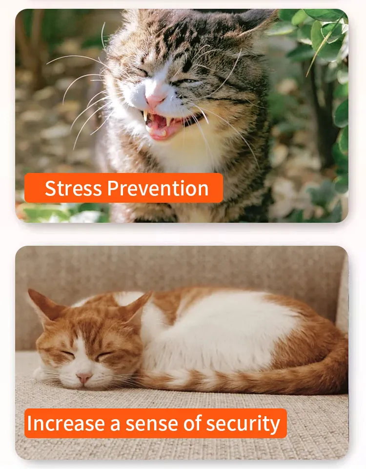 Veterinary Supplement Cat Health Feed Nutrition Liquid Oral Use