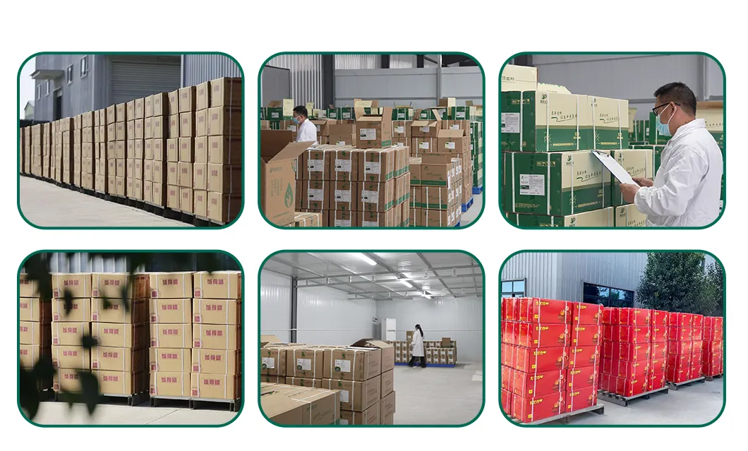 Production Facility