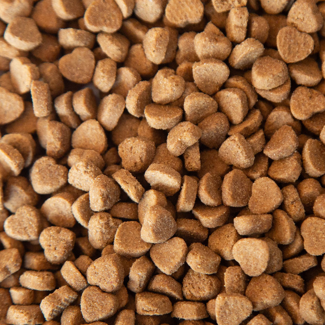 High Nutrition Dry Kibble Dogs 20kg Bag Grain Free Fresh Meat Sensitive Digestion Custom Recipe High-Protein All Ages OEM/ODM