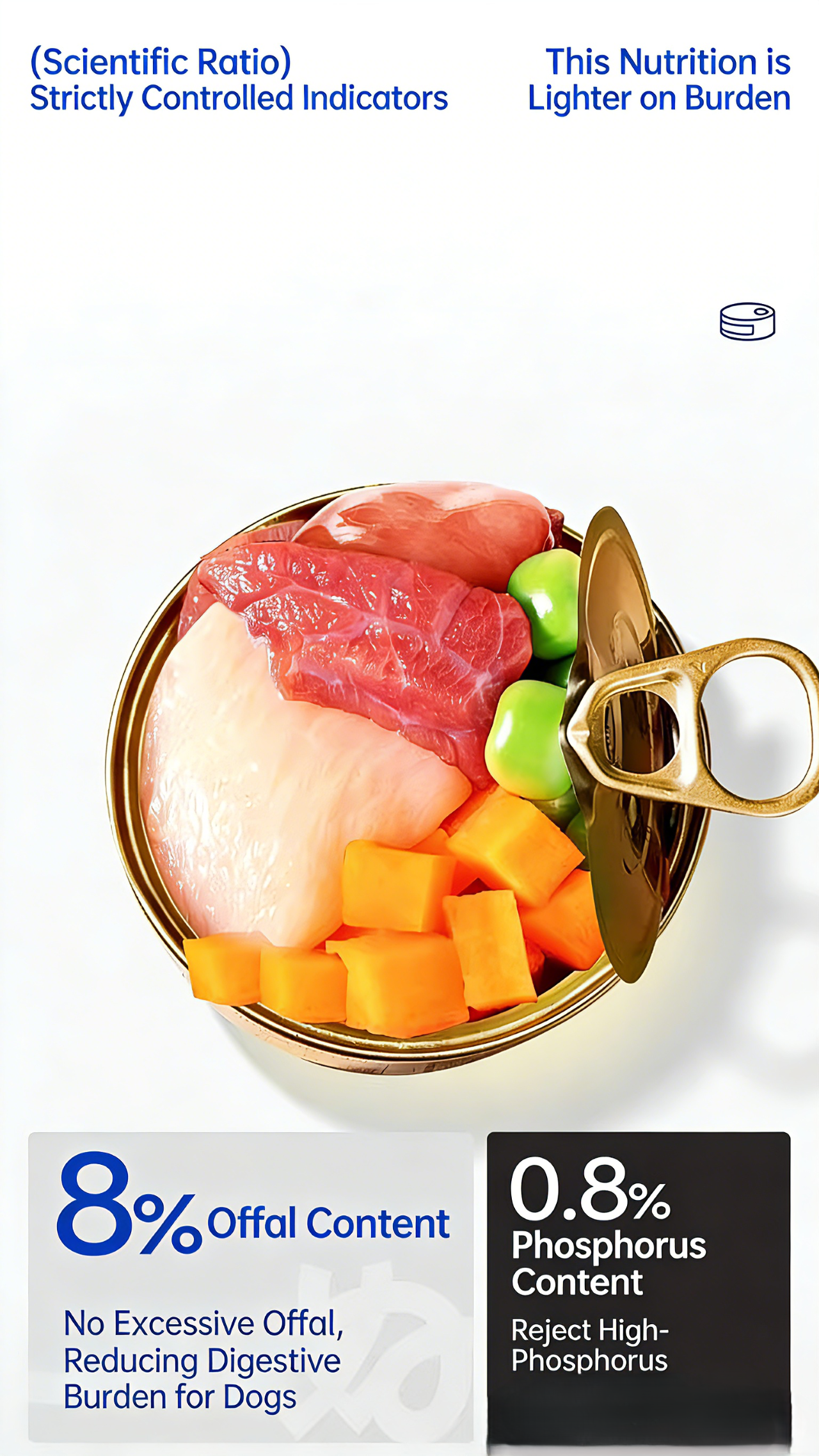 Product Details 2