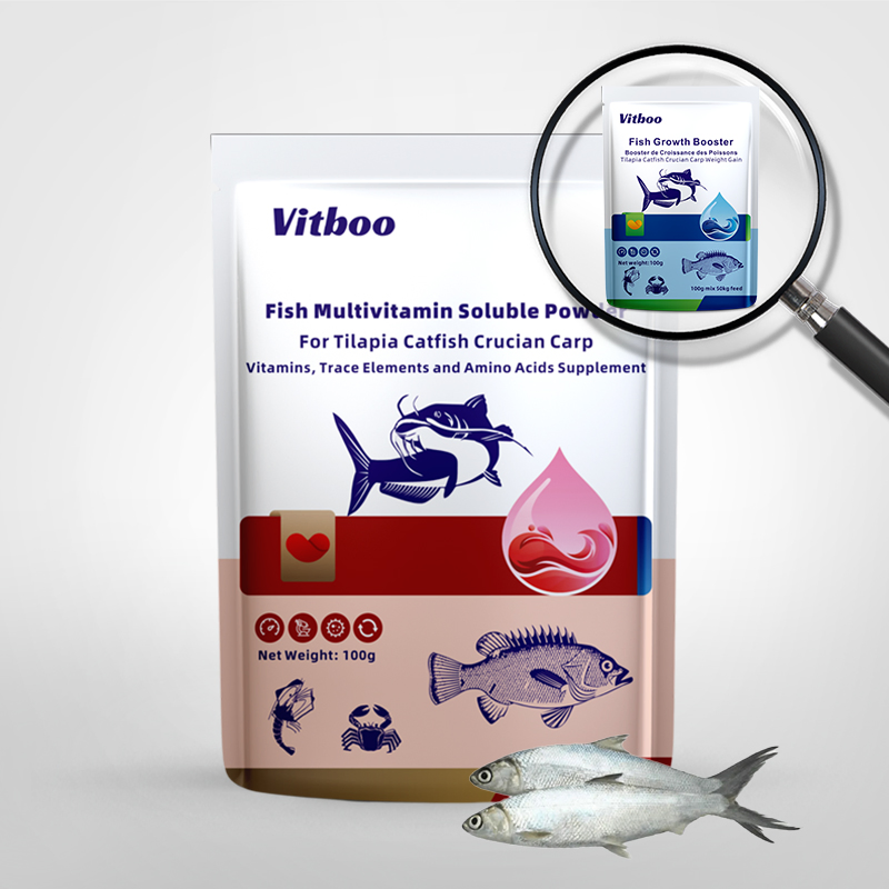 OEM Fish Cure Aquatic Drugs Veterinary Medicine Fish Growth Nutrition Supplement Antibiotic