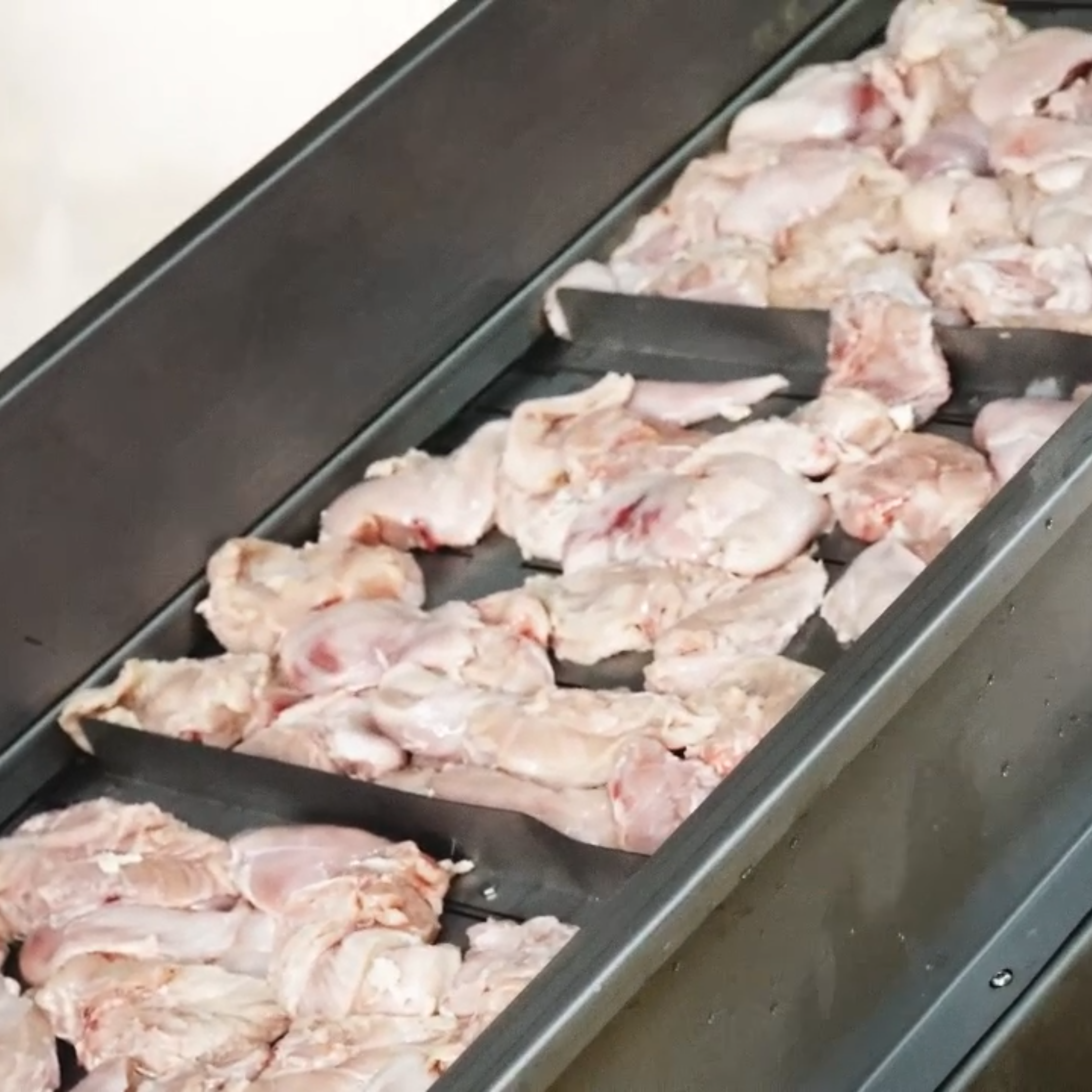 Lovidovi Grain-Free Fresh Chicken Meat Recipe Anti-Allergy Cat Food for All Life Stages Glossy Fur Overall Health OEM ODM Bulk