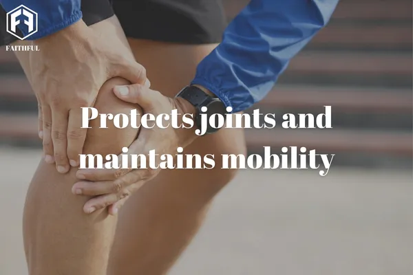 Premium Glucosamine for Animal Nutrition and Veterinary Use