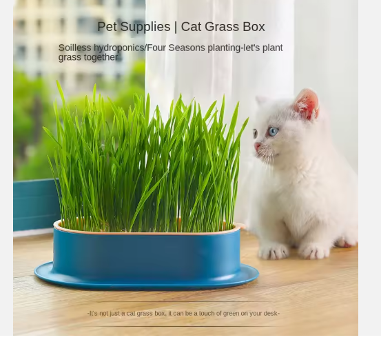 Cat Grass Seed Kit Easy Hydroponic Growing Box Cat Snacks Cat Hairball Remover Pet Supplies Wholesale