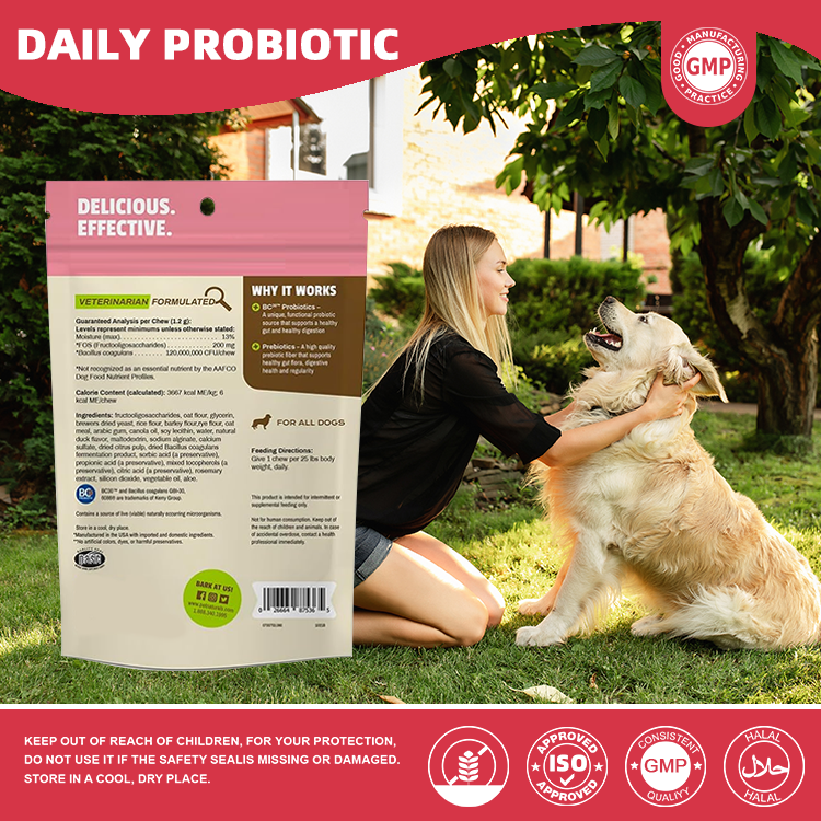 Canine Digestive Enzymes Fiber Soft Chews 120 Million CFU Dog Probiotics for Sensitive Stomach Gut Wellness Daily Stool Support