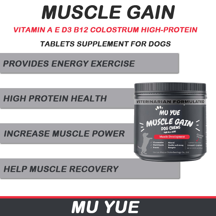 High Protein Supplement for Dogs Various Flavors Immune System Strengthener Muscle Gain Booster Supports Bully Development