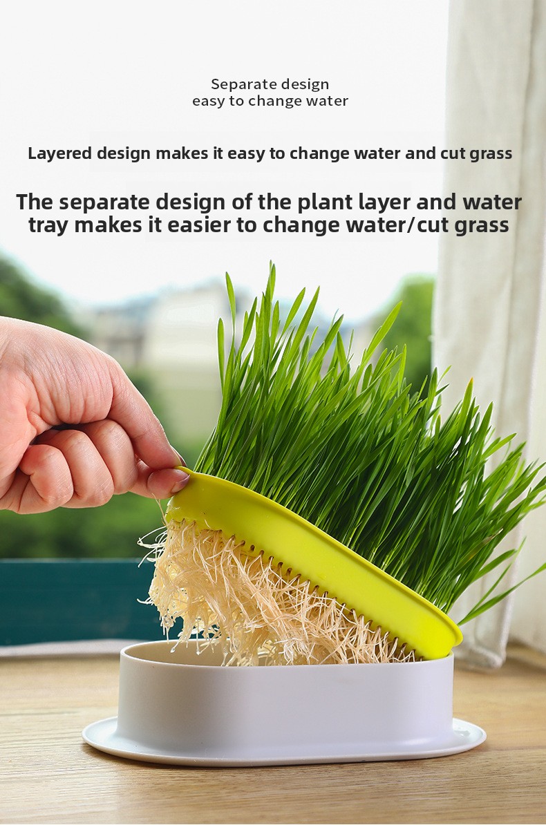 Hydroponic pet grass kit