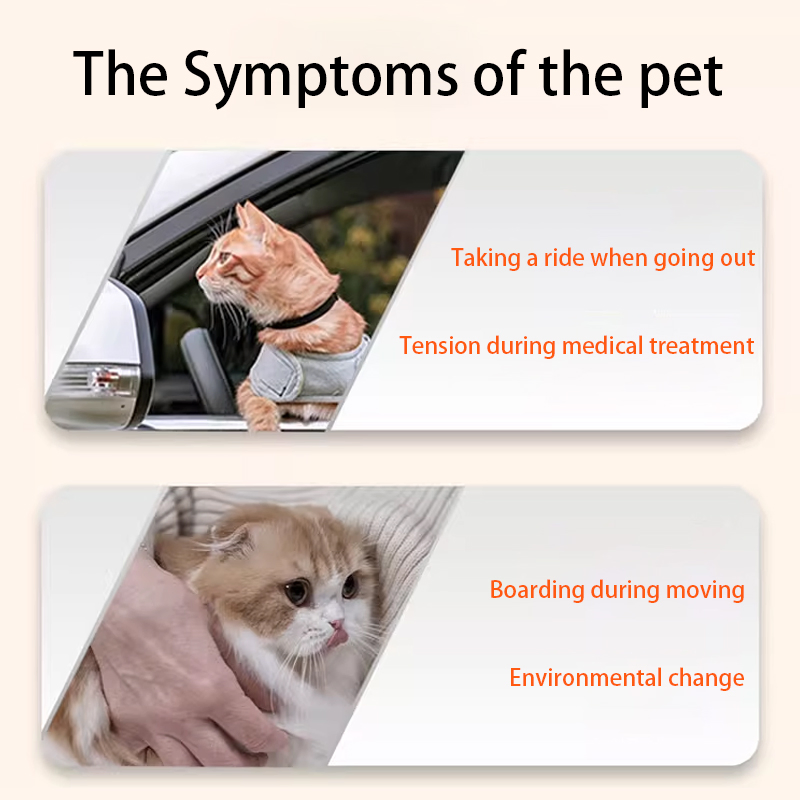 Cat Nutrition Stress Relief Pet Supplement Veterinary OEM ODM Available