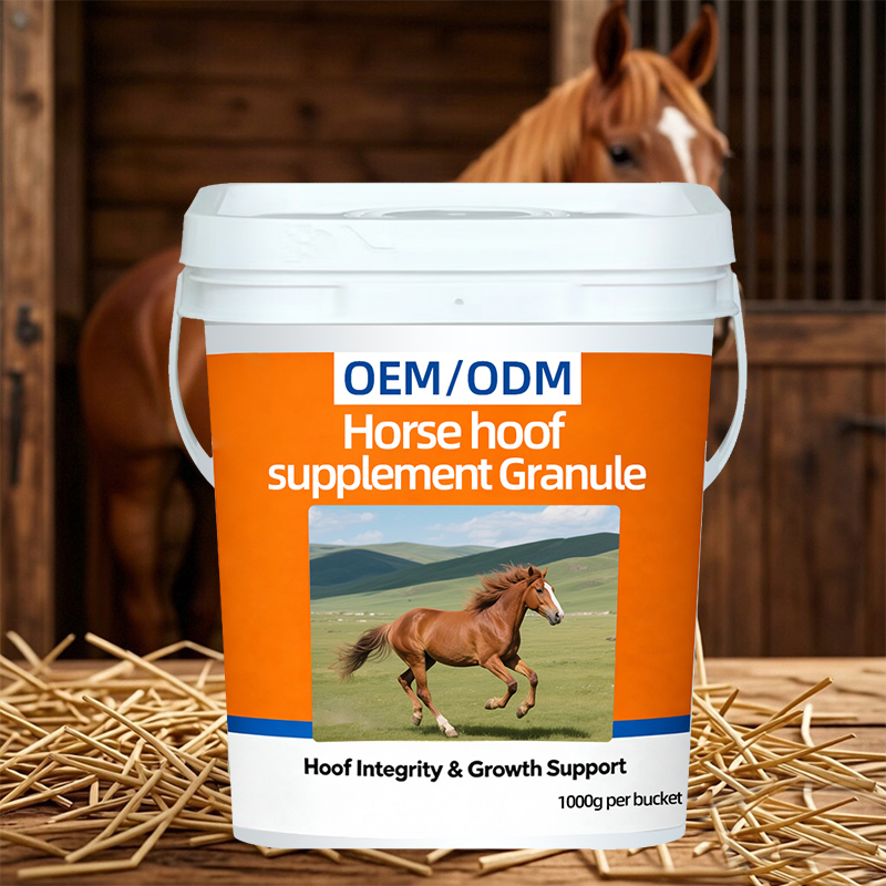 OEM/ODM Premium Biotin Formula for Equine Hoof Health Support