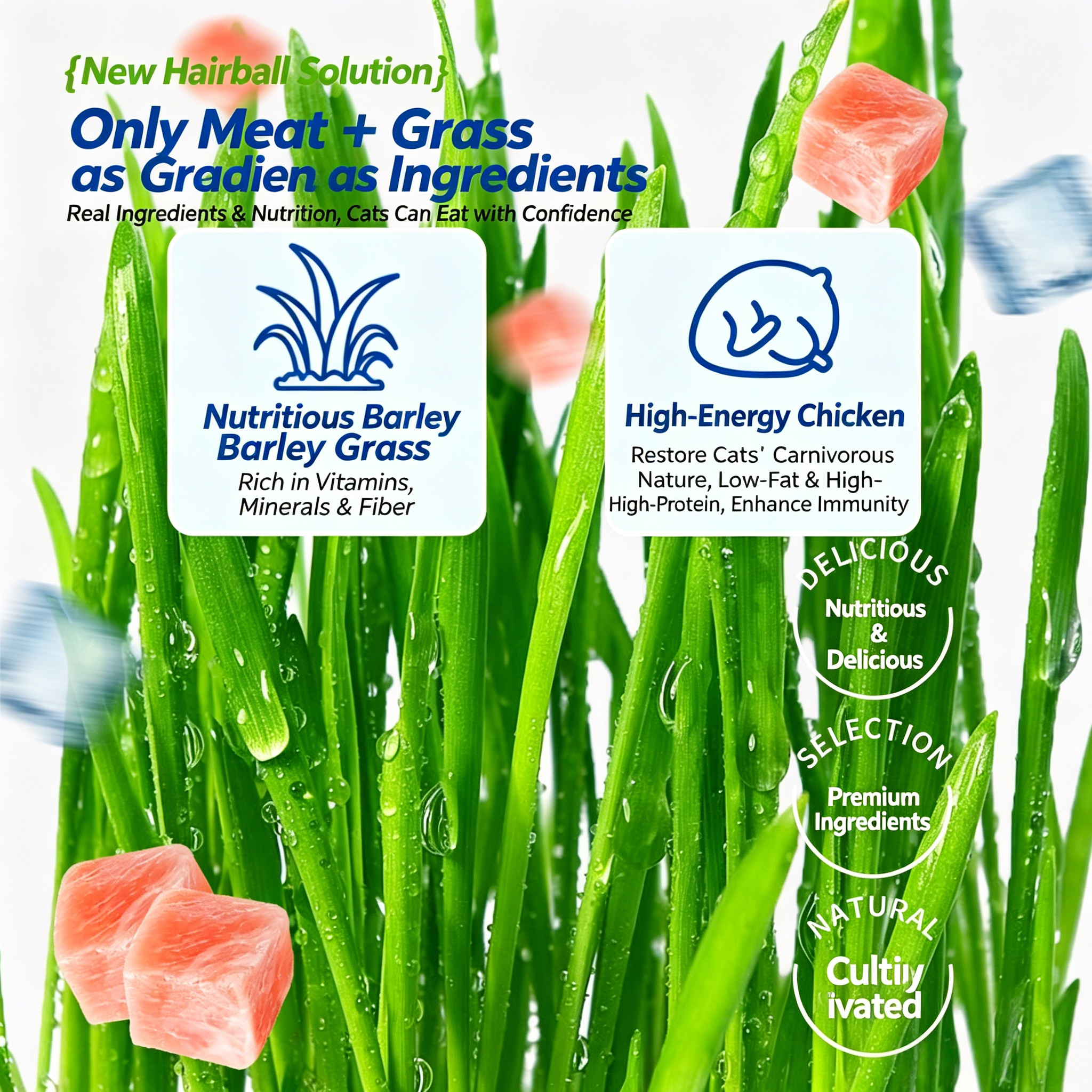 Freeze Dried Cat Grass Sticks Hairball Control Digestive Fiber Treat for Indoor Cats Grain Free Natural Chewable Snack