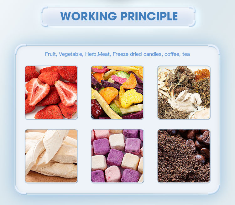 Vacuum Freeze Drying Food Applications