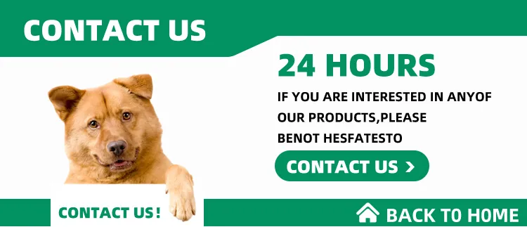 OEM ODM Acceptable Complete Nutrition Dry Dog Food for Puppy
