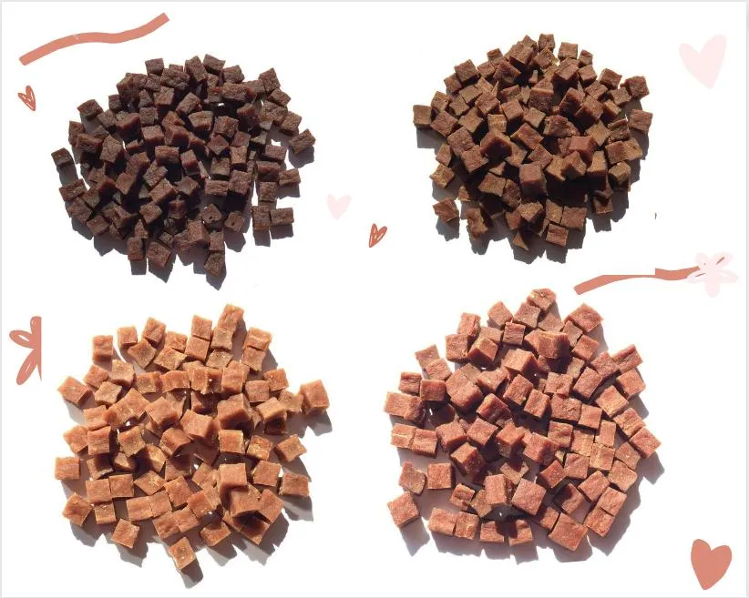 Premium Dry Dog Food Complete Nutrition Fuel Fast Growth for Young Puppies
