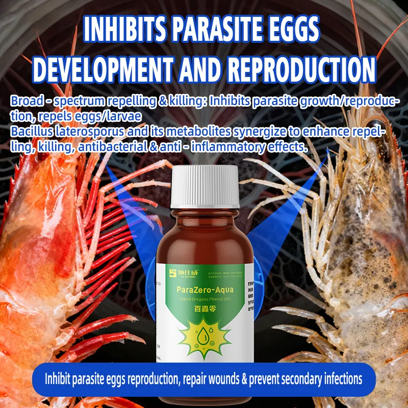 Essential Oil Deworming Formula High Penetration for Gut Health