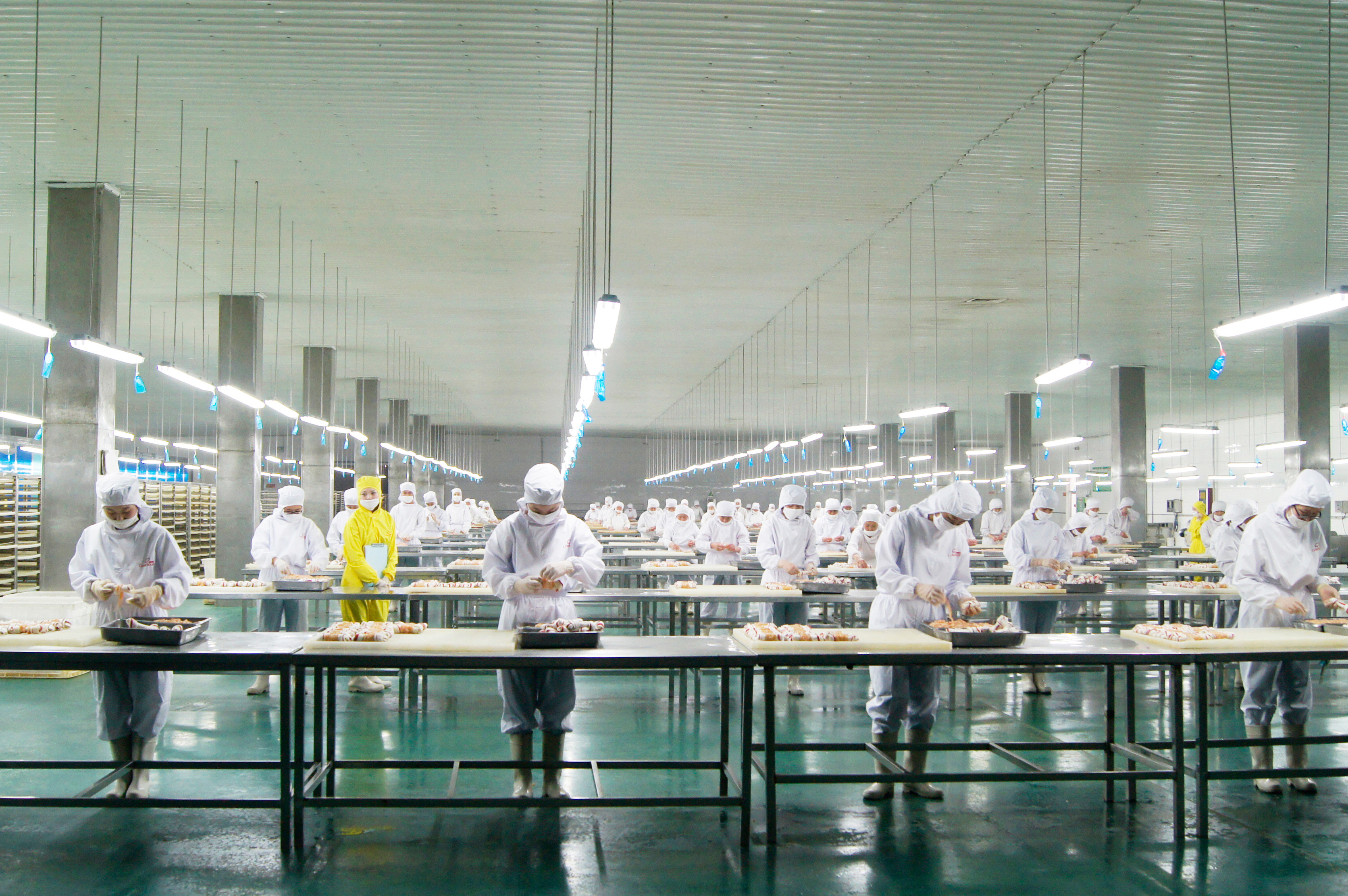 Company Image 2