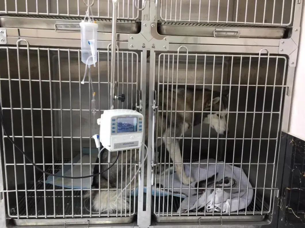 Veterinary Application