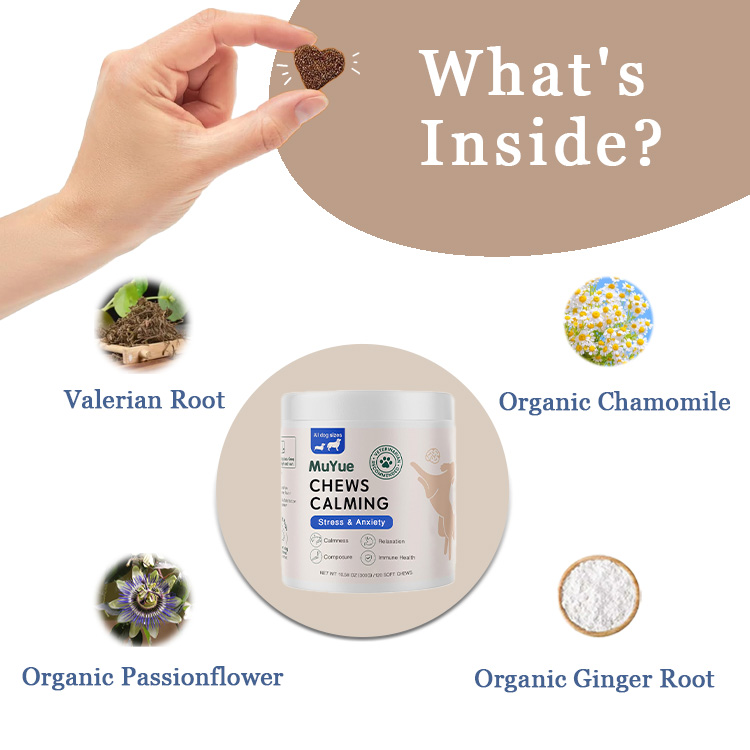 Pet supplement features 1
