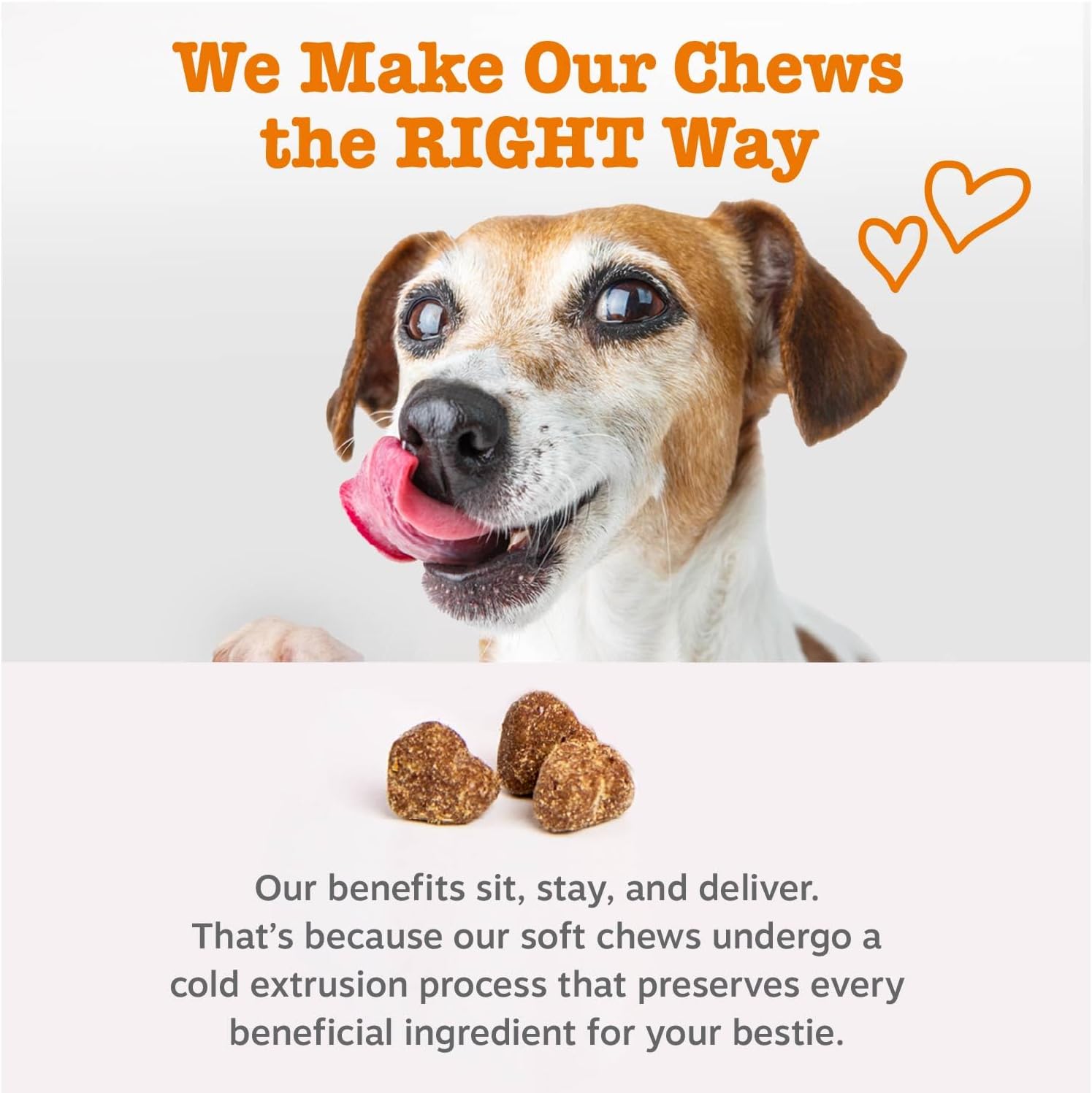 Multivitamin Soft Chew Supplements for Cats Dogs with Omega 3 Fish Oil Improve Immune &amp; Digestion System Grain-Free
