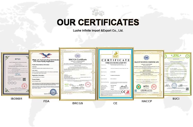 Company Overview 1