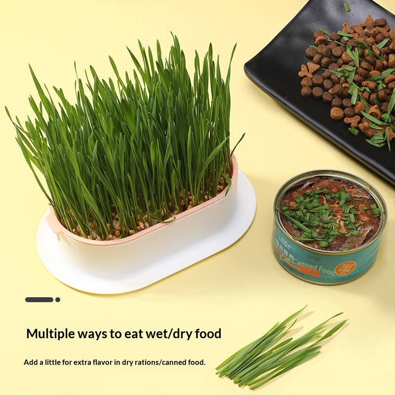 Cat Grass Seed Kit Easy Hydroponic Growing Box Cat Snacks Cat Hairball Remover Pet Supplies Wholesale
