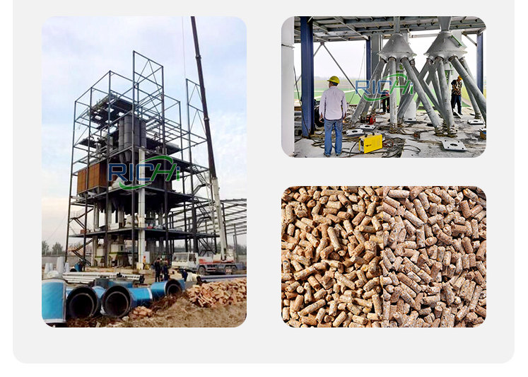 Customized 20-30T/H Complete Poultry Animal Cattle Chicken Feed Factory for Algeria Customer