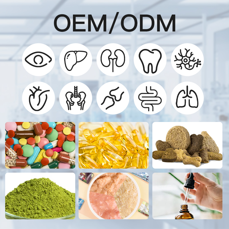 Pet OEMODM Healthcare Nutrition Supplements Prebiotics Probiotics Multi-Enzyme Powder For Dogs Cats ISupport Daily Digestion