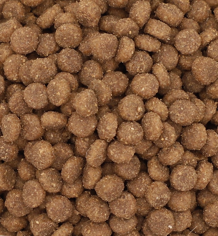 Pet Food Processing 2