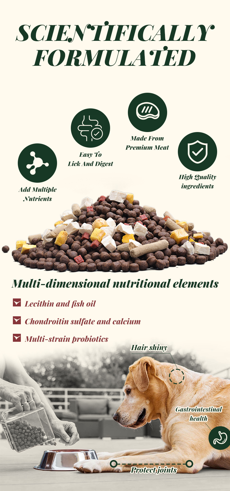 Pet Dry Food Product Display 2