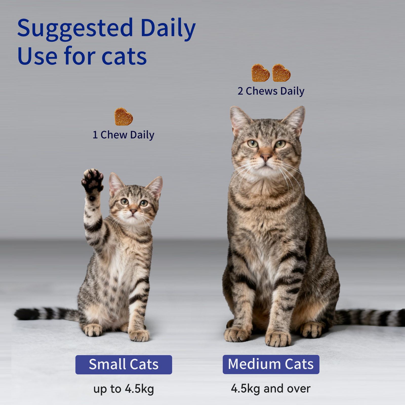 Pet Hairball Support Crunchy Creamy Chews Supplement Natural Chicken Flavor Hairball Treats For Cats Skin Coat Health