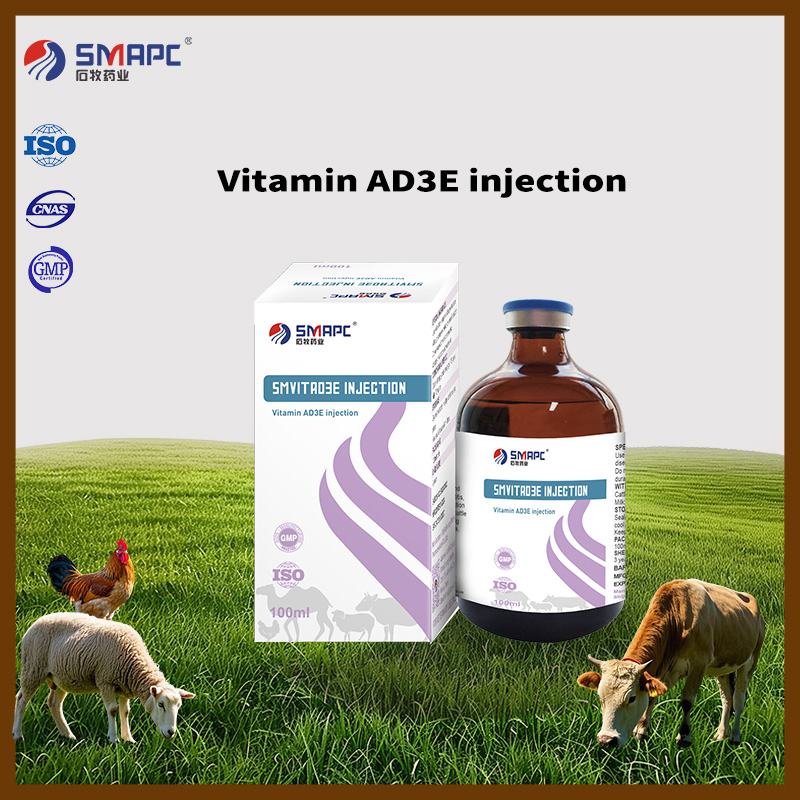 Vitamin Ad3e Injection Pharmaceutical Supplier Veterinary Medicine Nutrition Supplement