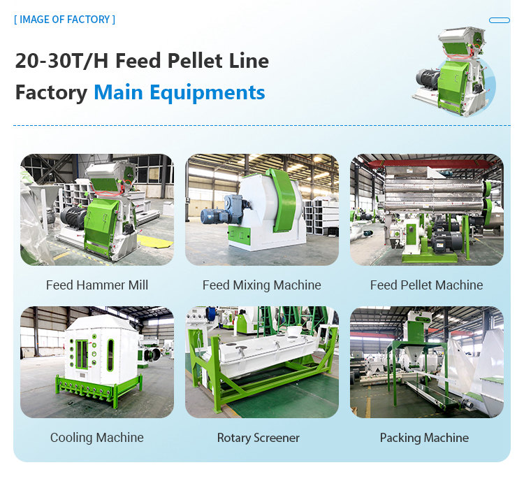 Customized 20-30T/H Complete Poultry Animal Cattle Chicken Feed Factory for Algeria Customer