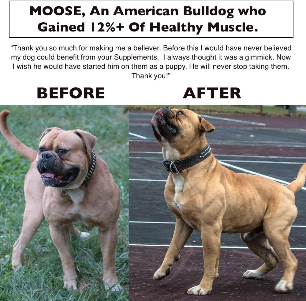 Muscle gain chews for dogs