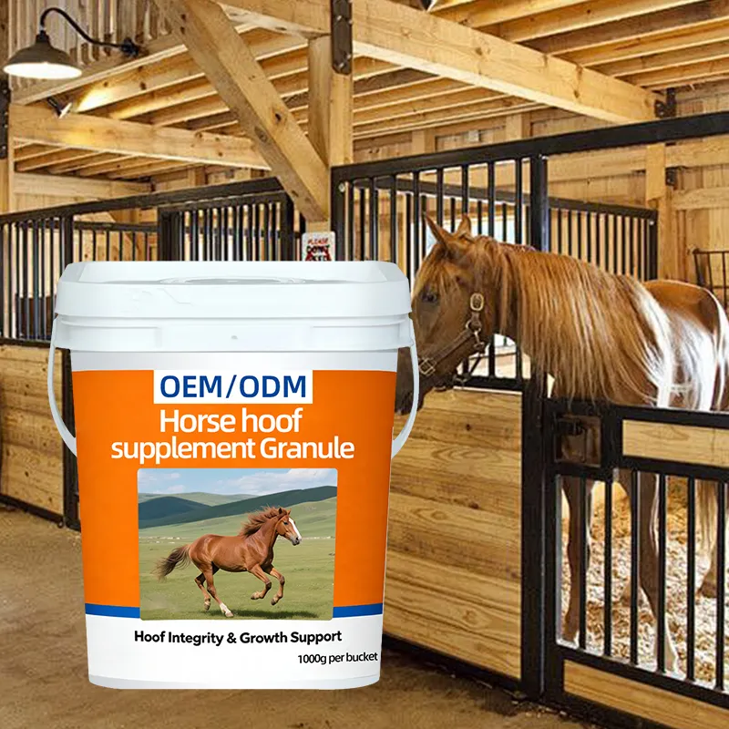 OEM/ODM Premium Biotin Formula for Equine Hoof Health Support