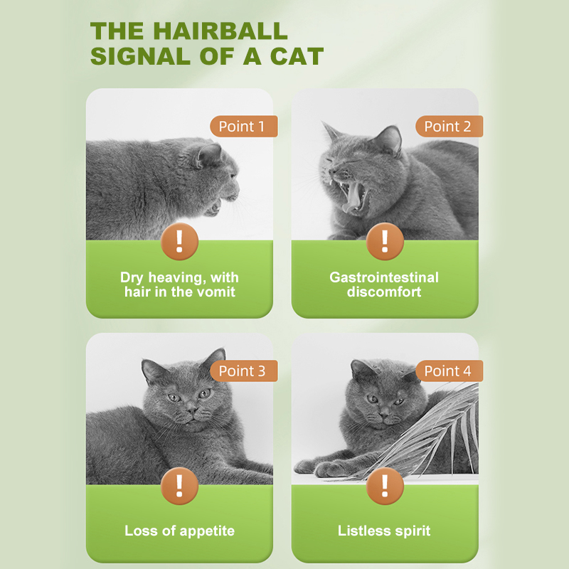 Factory Direct Shipment Fruit Fiber Hairball Control Paste for Cats Gentle Effective in Removing Hairballs Pet Health Supplement