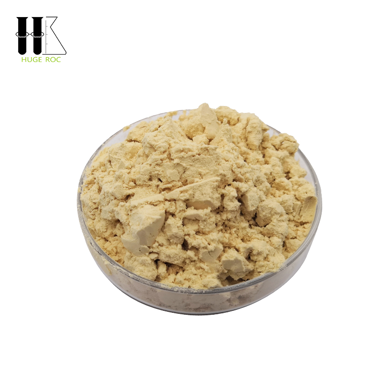 Non GMO Vegetable Pea Protein Concentrate 55% 72% 80% for Aqua Feed and Pet Food Replace Fish Meal