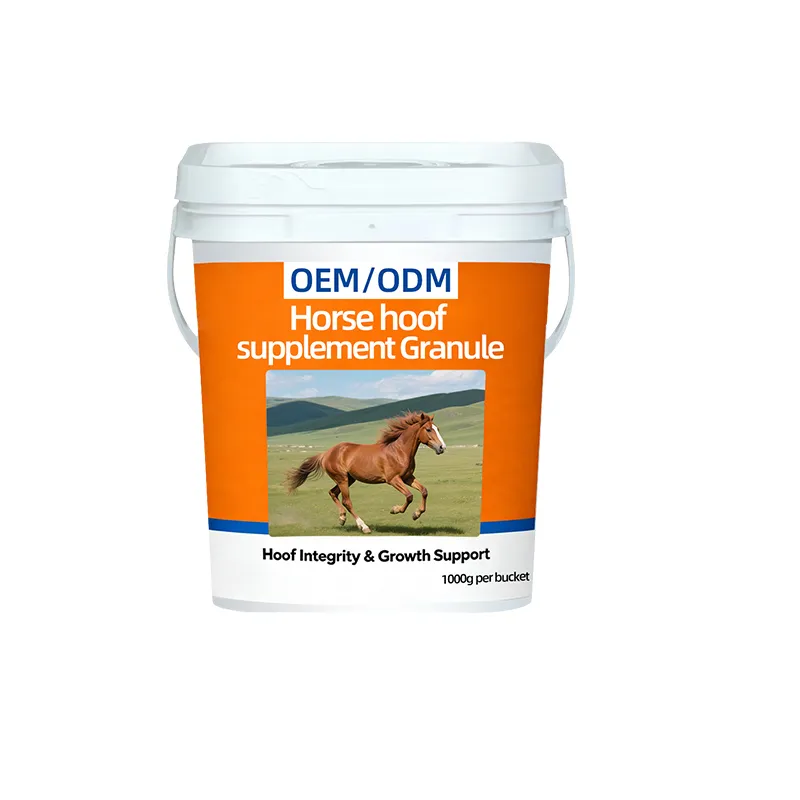 OEM/ODM Premium Biotin Formula for Equine Hoof Health Support