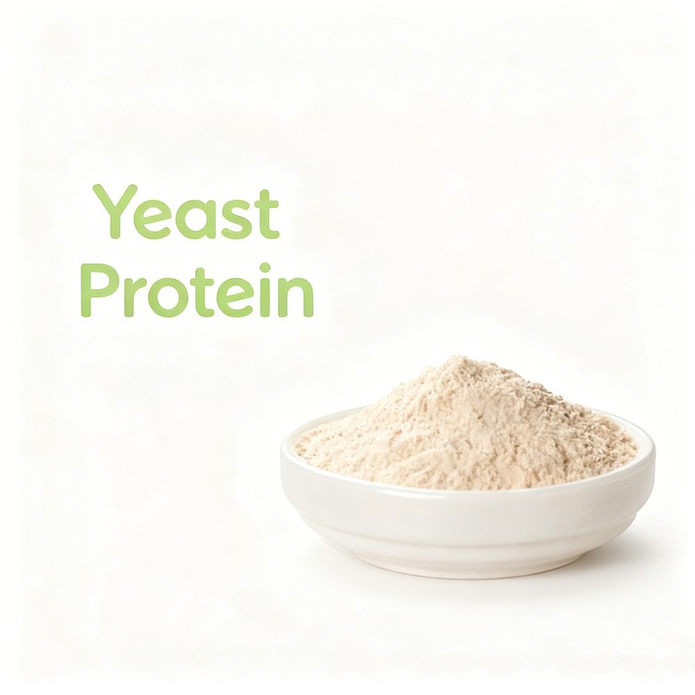 Wholesale Angeo Pro Yeast Protein Powder F80 High Protein Yeast Extract 99% Hydrolyzed Yeast Protein Powder Single Cell Protein
