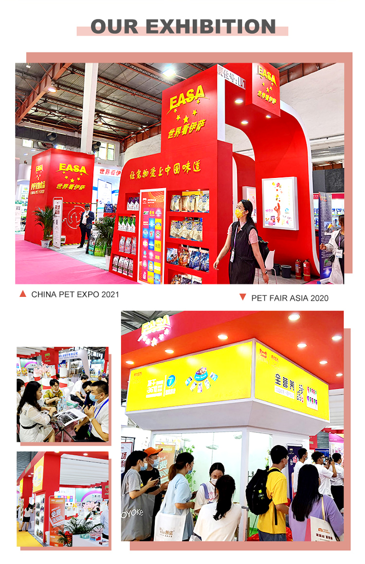 Exhibition
