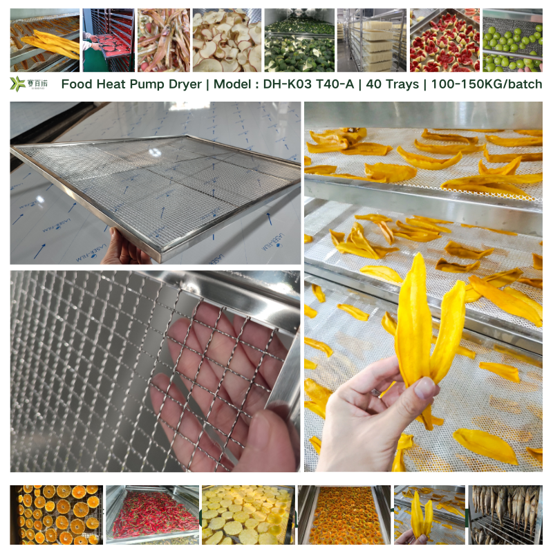 DH-K03 T40-A | 40 Trays | Heat Pump Dehydrator | 100-150KG Food Dryer Machine for Fruits, Pet Food, Fish, Meat | Drying Cabinet