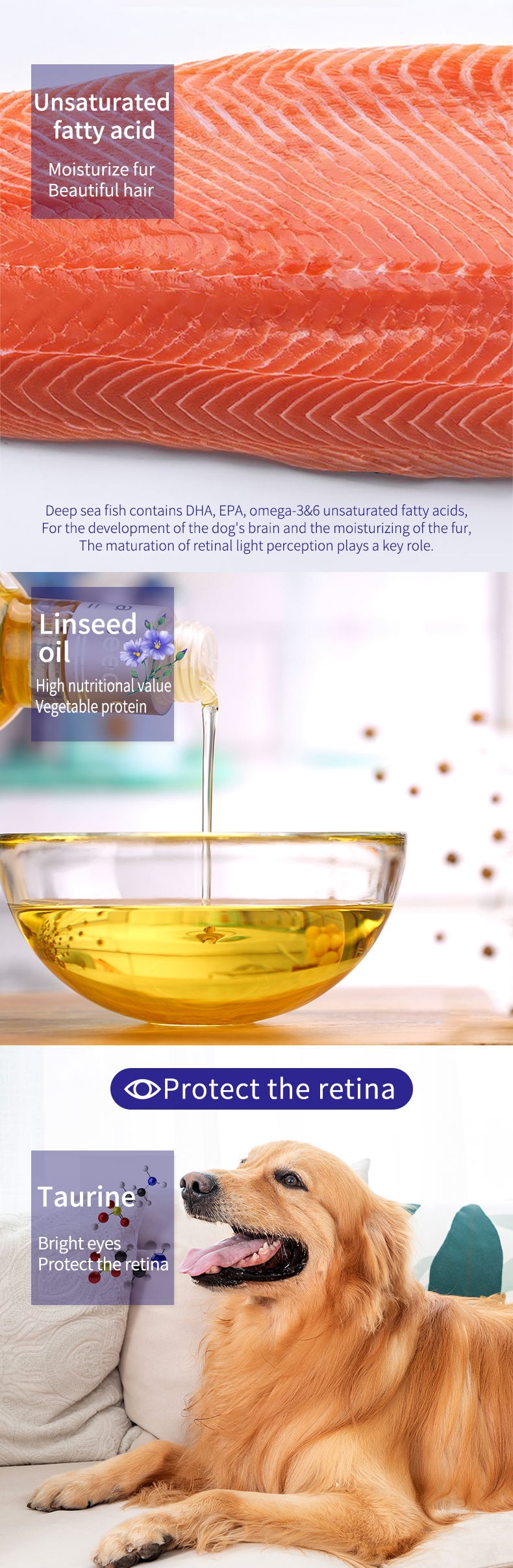 Product Description 2