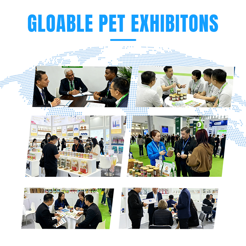 Bulk Wholesale Dog Complete Nutrition Adult Dry Dog Food Private Label Customizable 2kg 5kg 10kg 15kg 20kg Packaging Sizes