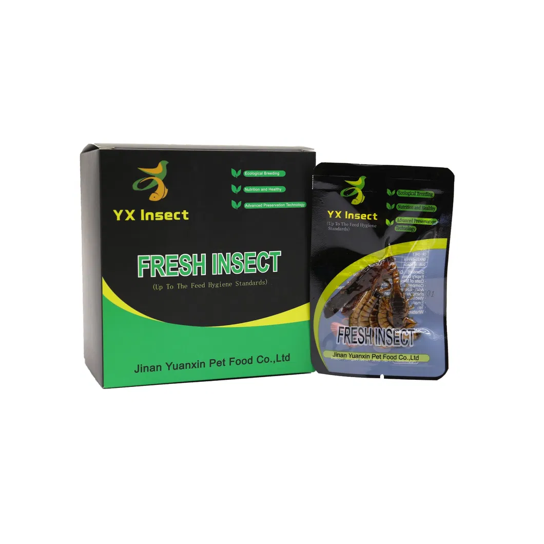 High Nutrition Active Formula for Poultry Feed