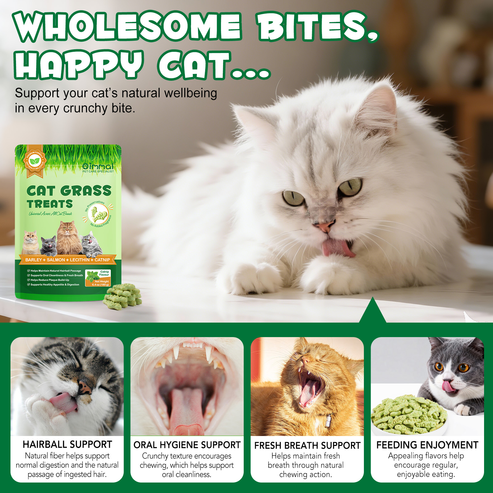 Oimmal 180g Catnip Cat Grass Treats Organic Salmon Mini Cat Food Snack Biscuits for Dental Care Hairball Control