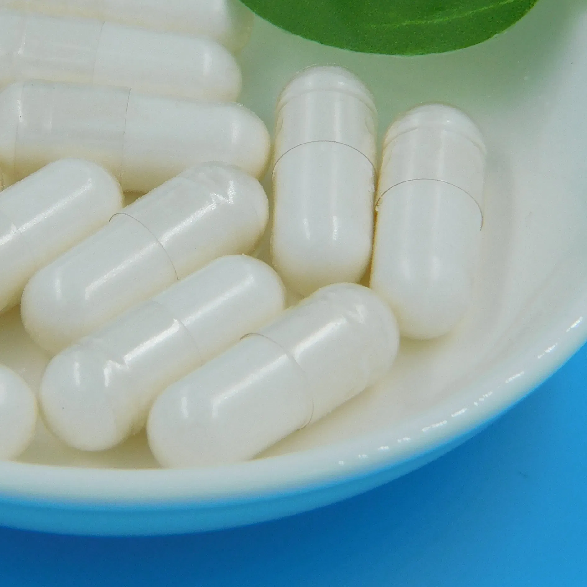 Ultimate Digestive and Immune Health Support Formula for Wellness