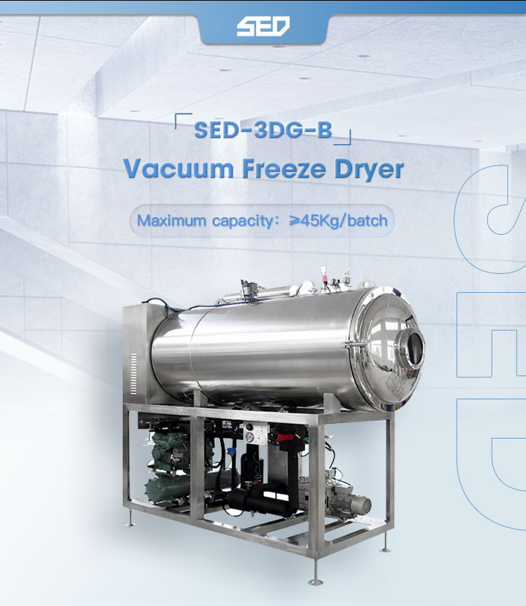 Vacuum Freeze Dryer Overview