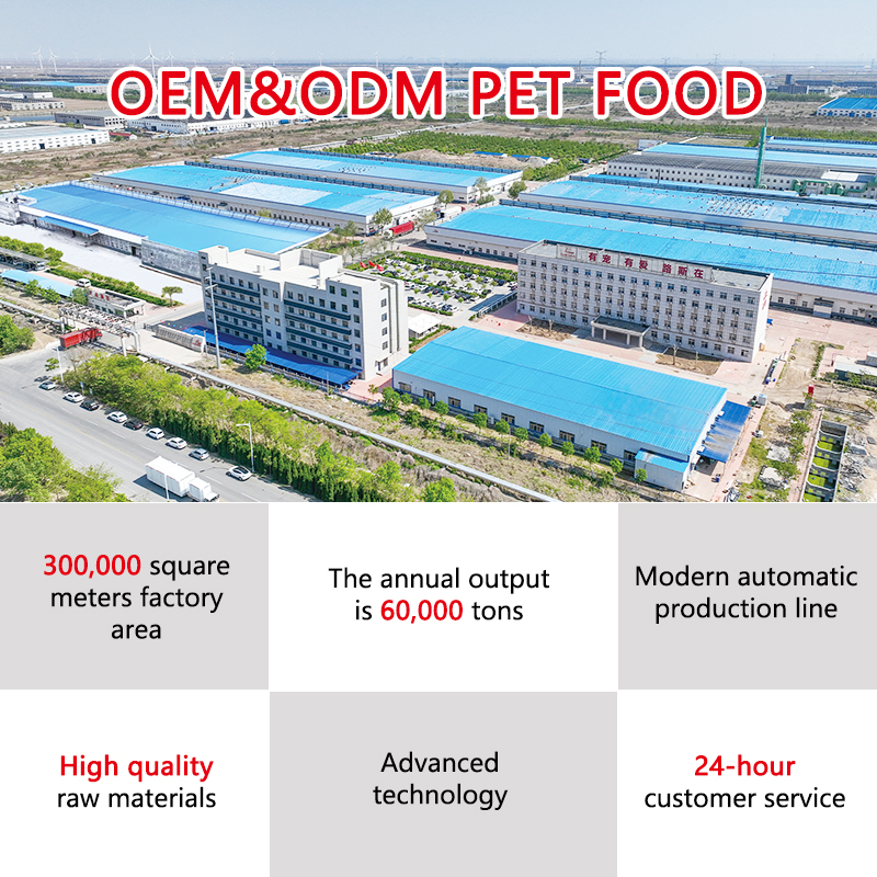 OEM Best Quality Custom Packaging High Protein Low Fat Pet Food Dry Kibble Full Nutritional Dog Dry Food with FD