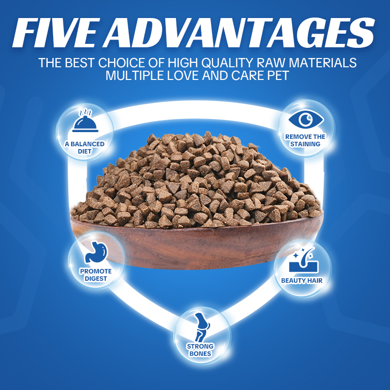 2kg High Protein Nutritious Cat Dry Food in Bag for All Breeds OEM ODM Solutions with Vitamins &amp; Minerals Sensitive Digestion