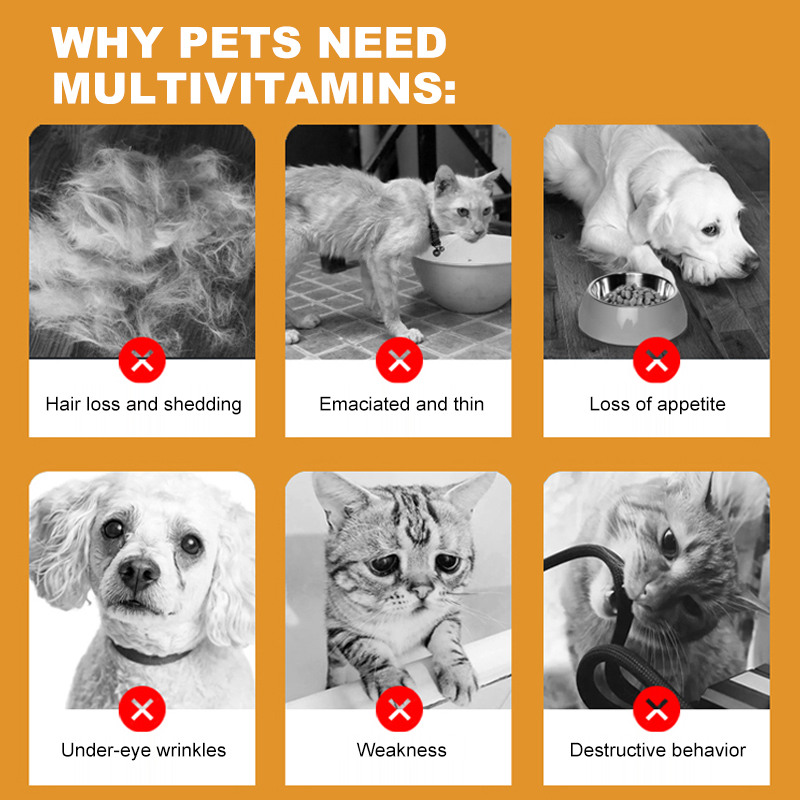 Highly-rated Pet Multivitamin Supports Healthy Skin and Improves Overall Health Contains 12 Vitamins Pet Nutritional Supplements