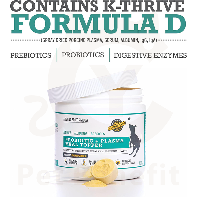Daily Intestinal Care Drops For Dogs Cats Natural Gut Flora Formula Pumpkin Eases Indigestion Fast Absorption Maintains Healthy