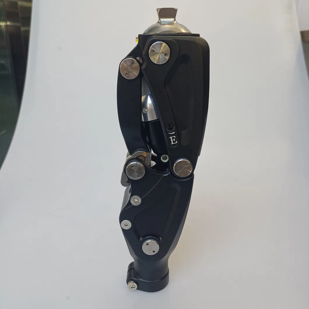 Prosthetic Knee Joint Photo 3